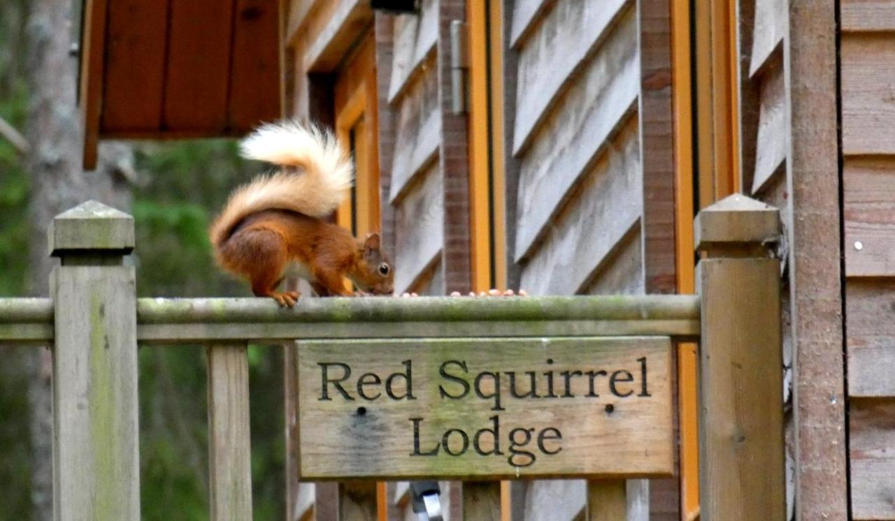 Cairngorm Lodges Aboyne Eksteriør bilde