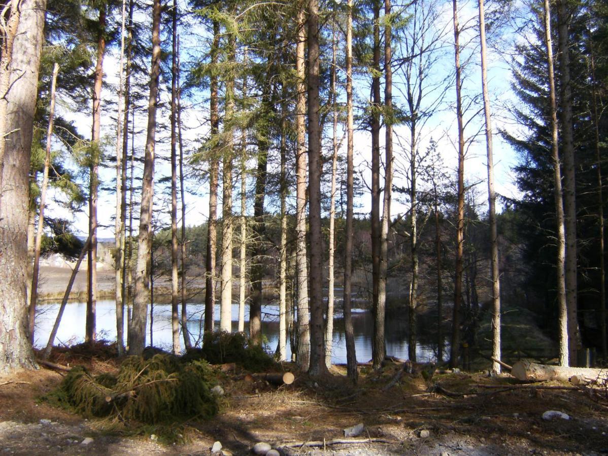 Cairngorm Lodges Aboyne Eksteriør bilde