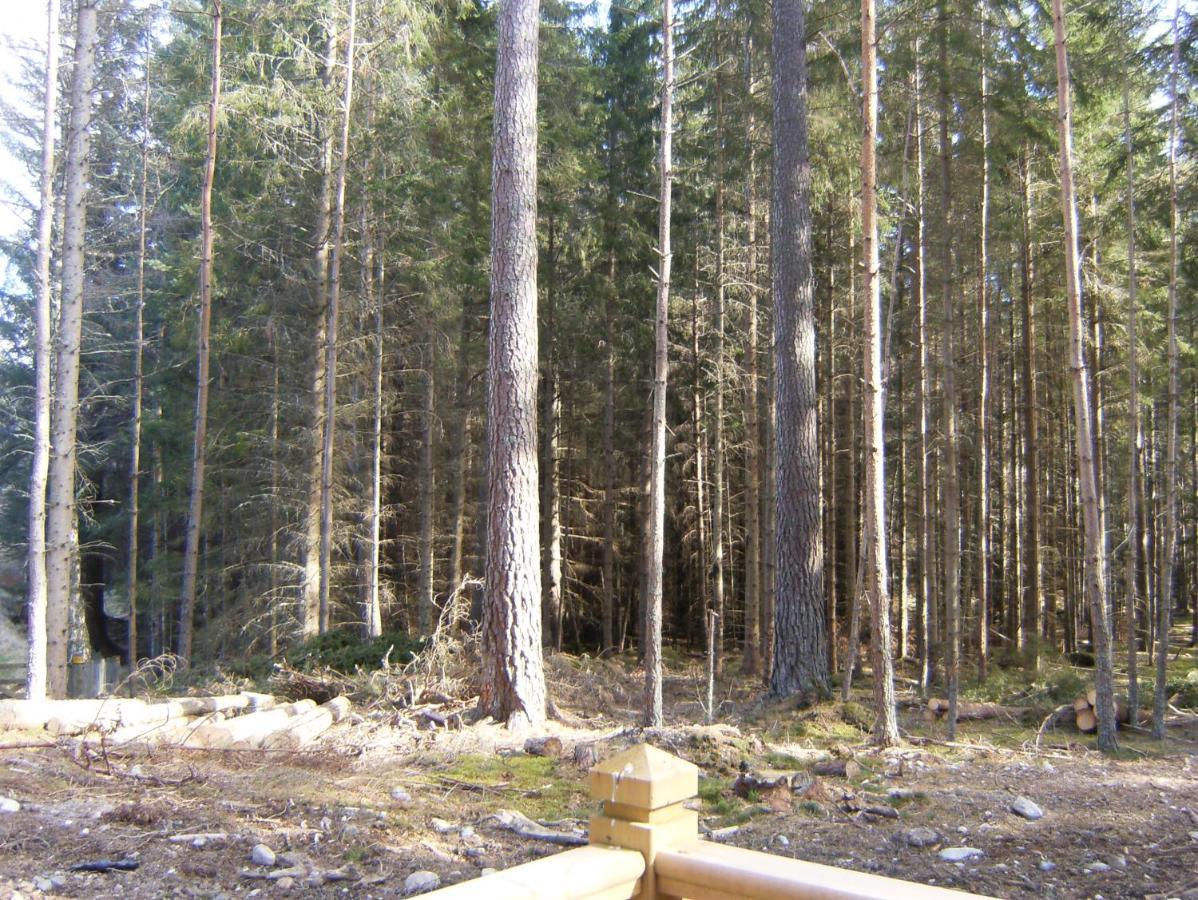 Cairngorm Lodges Aboyne Eksteriør bilde