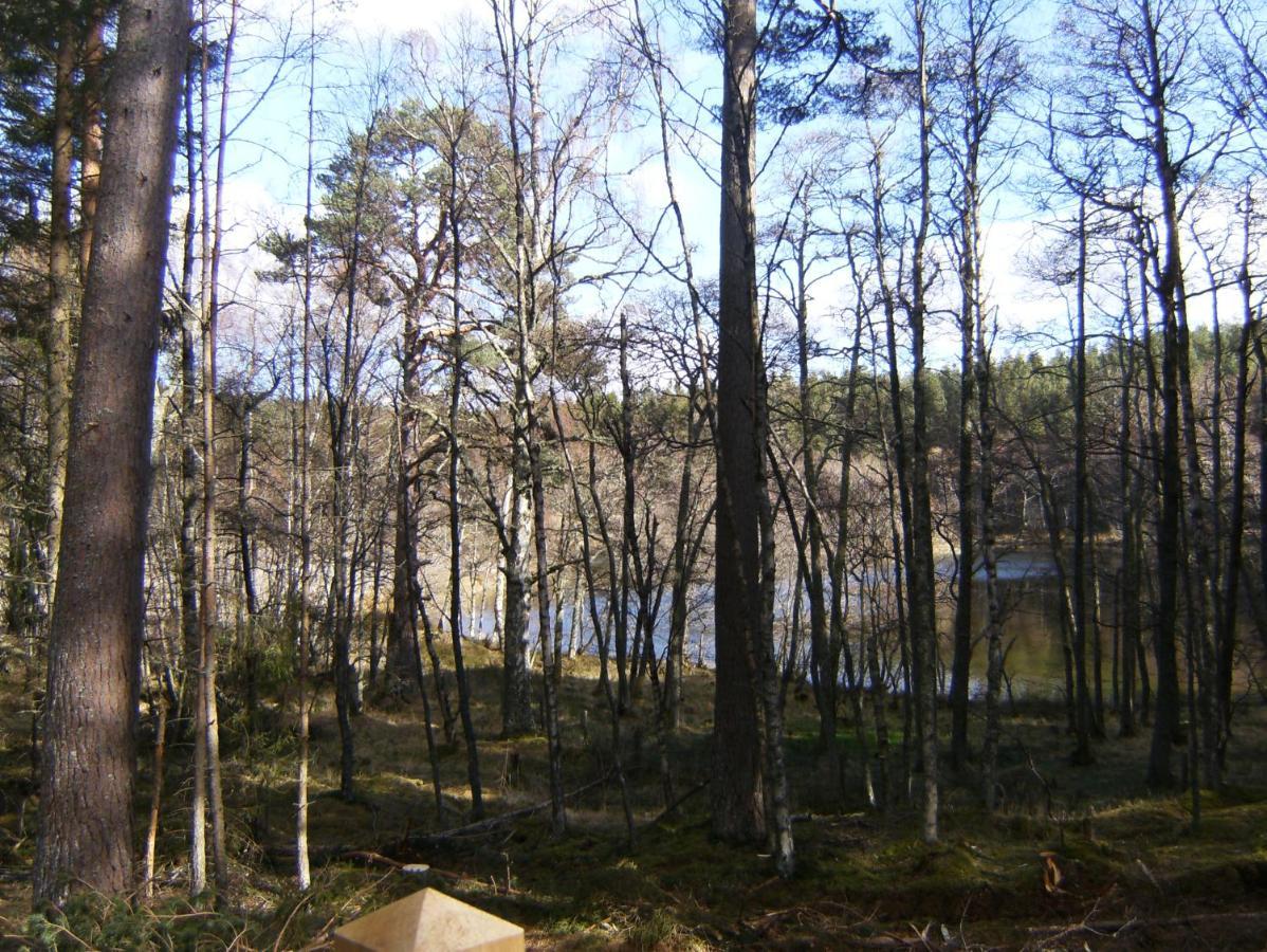 Cairngorm Lodges Aboyne Eksteriør bilde