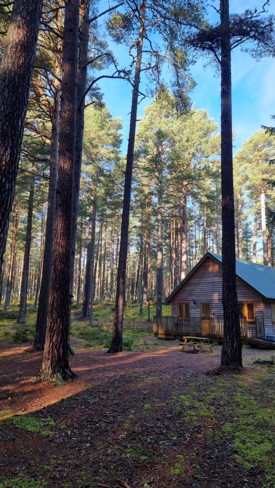 Cairngorm Lodges Aboyne Eksteriør bilde