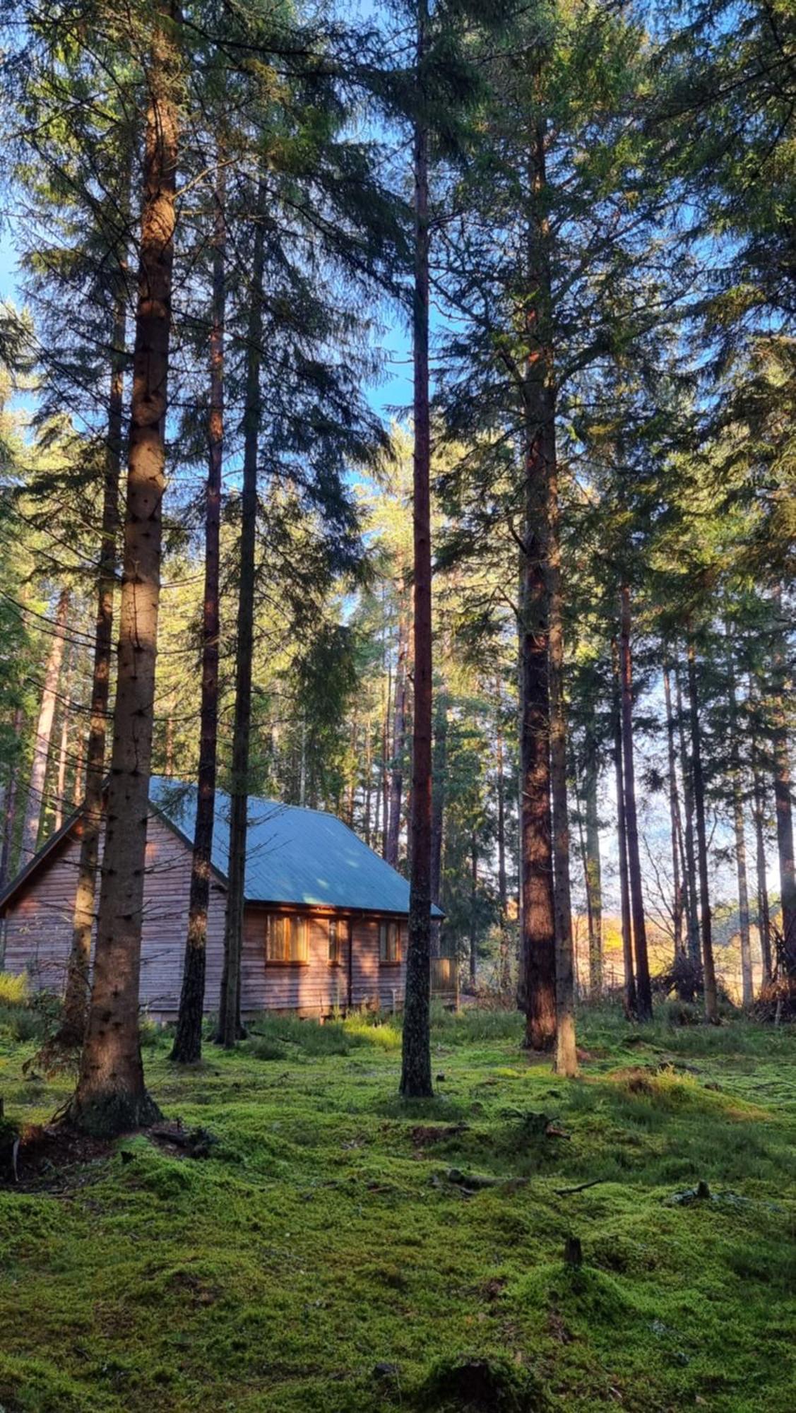 Cairngorm Lodges Aboyne Eksteriør bilde