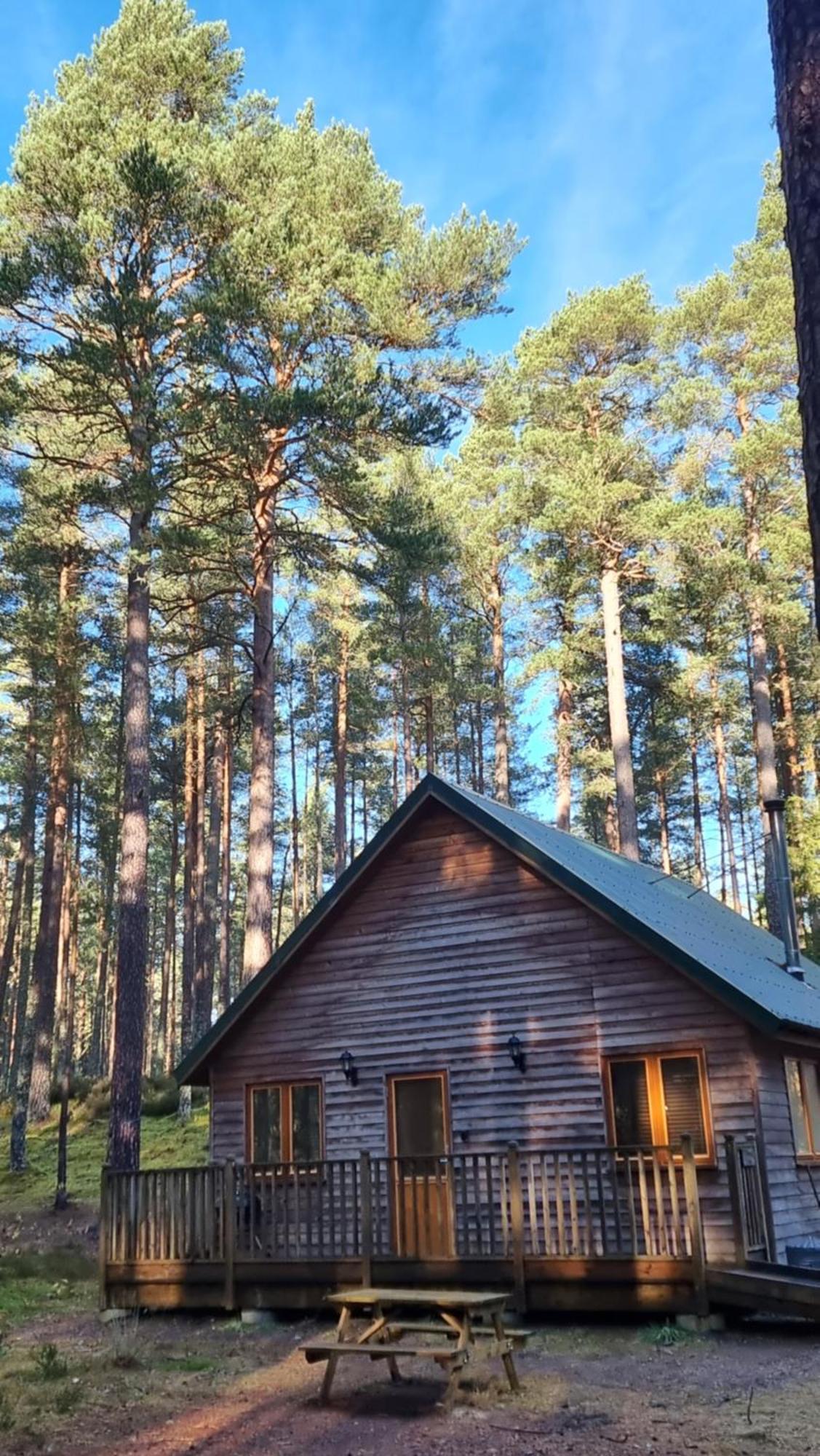 Cairngorm Lodges Aboyne Eksteriør bilde