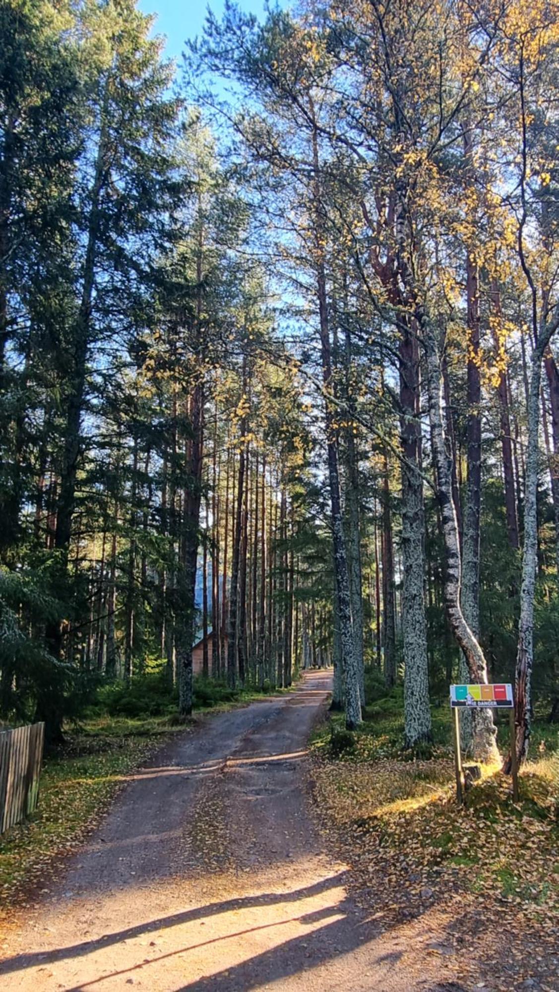 Cairngorm Lodges Aboyne Eksteriør bilde